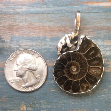 Load image into Gallery viewer, Ammonite Fossil and Sterling Silver Bear!
