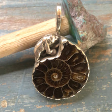 Load image into Gallery viewer, Ammonite Fossil and Sterling Silver Bear!
